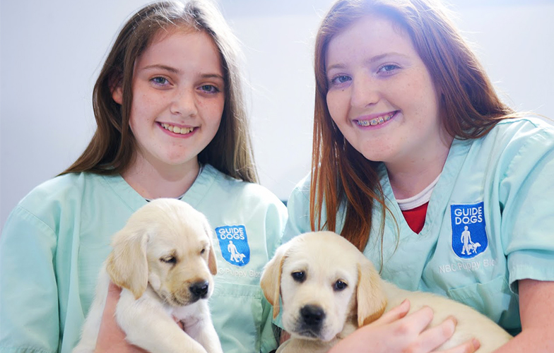 Puppy Helper Experience National Breeding Centre Guide Dogs