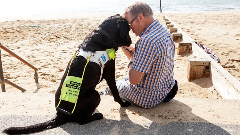 Guide dog owner puts his head against guide dogs'