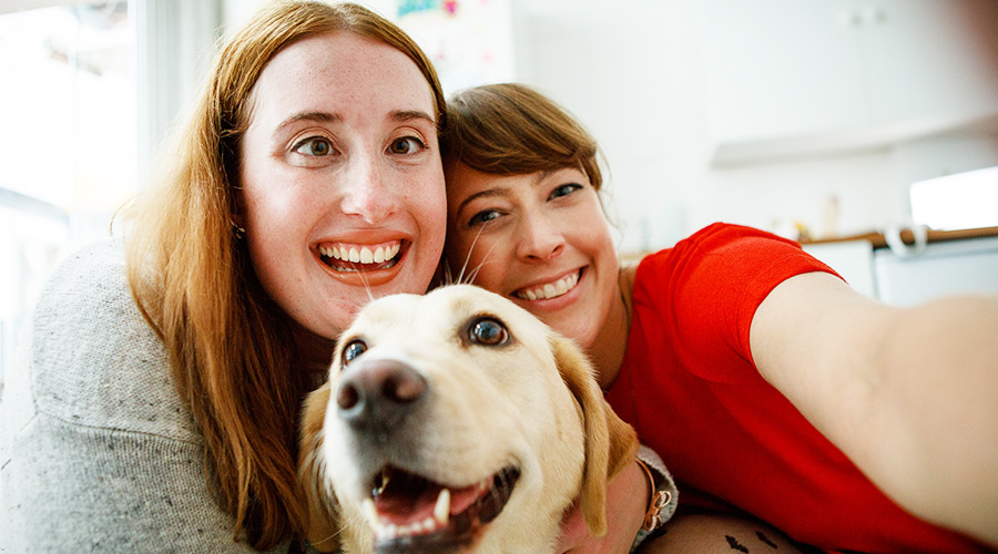 Kimberley and her friend and guide dog Tammy at home