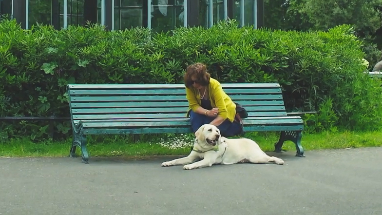Guide Dog Owner Inspiring Stories