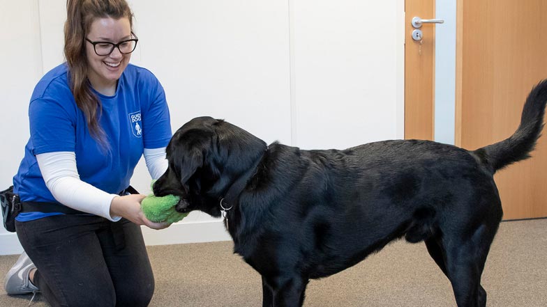 Alfie and his trainer Beth playing with a toy Alfie and his trainer Beth playing with a toy
