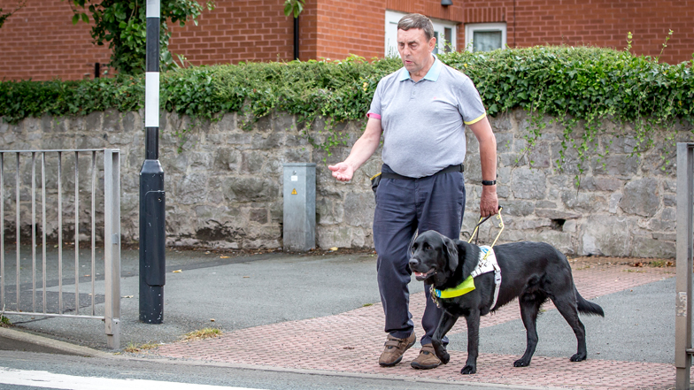 Alfie guiding Michael across road Alfie guiding Michael across road