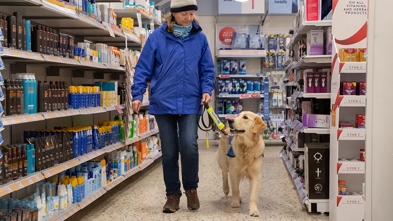 Bailey in a pharmacy with his Puppy Walker Bailey in a pharmacy with his Puppy Walker