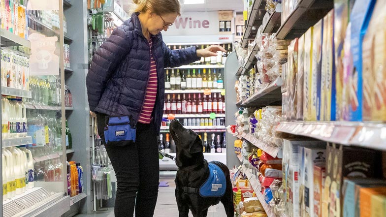 Bella and Vicky in a supermarket Bella and Vicky in a supermarket