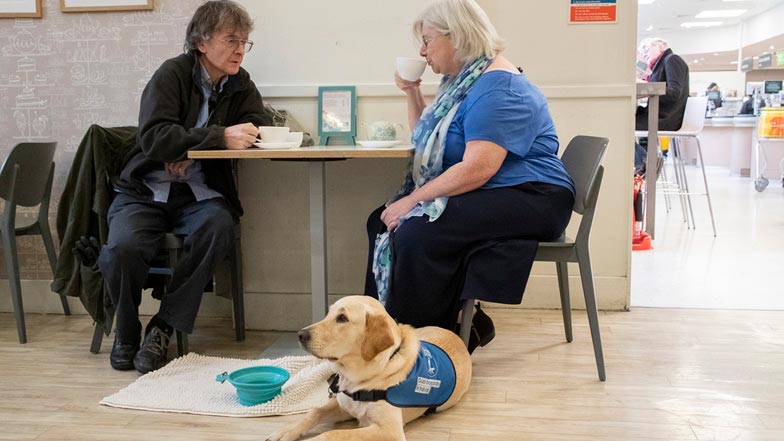 Daisy sitting next to her puppy walkers in a cafe wearing her bright blue puppy walking jacket Daisy sitting next to her puppy walkers in a cafe wearing her bright blue puppy walking jacket