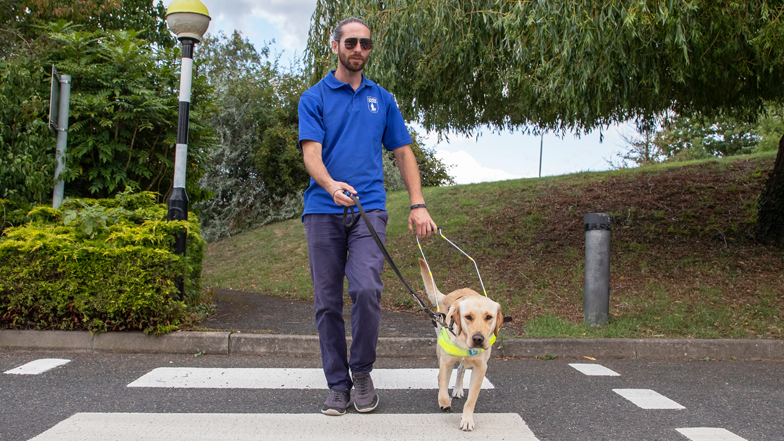 Daisy guiding Che across the road Daisy guiding Che across the road