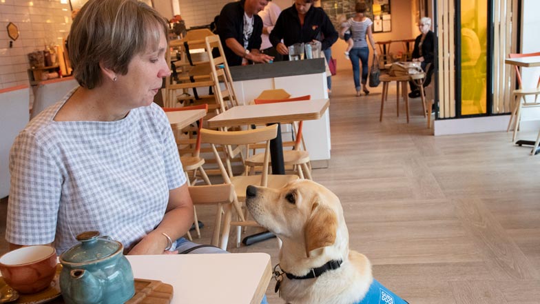 Harry in his blue pupp walking jacket and Puppy Walker, Justine, sitting in a cafe together Harry in his blue pupp walking jacket and Puppy Walker, Justine, sitting in a cafe together