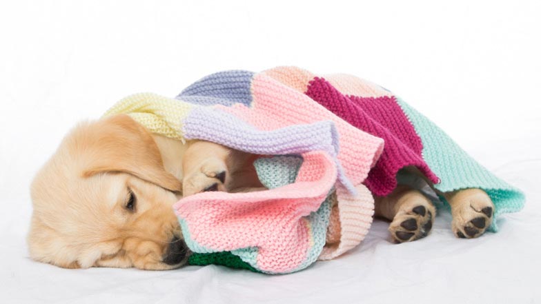 Harry wrapped in a blanket Harry wrapped in a blanket