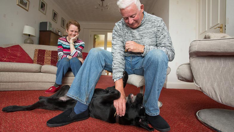 Hattie having her tummy tickled by her puppy walker Hattie having her tummy tickled by her puppy walker