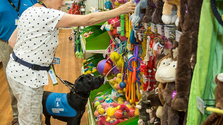 Hattie looking at dog toys in the pet shop Hattie looking at dog toys in the pet shop