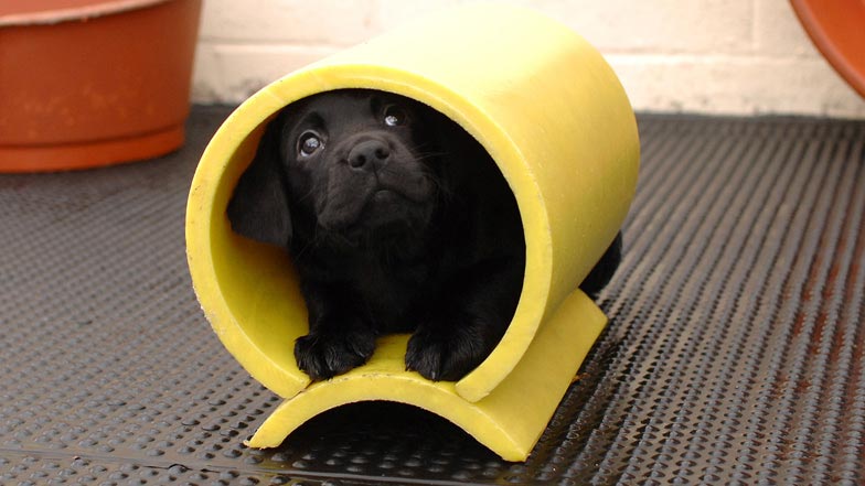 Hattie playing hide and seek in a play tunnel Hattie playing hide and seek in a play tunnel