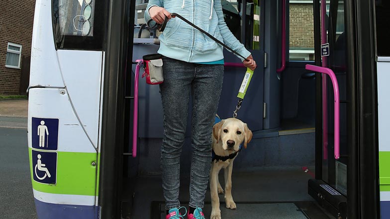 Irvine getting ready to step off a bus with his puppy walker Irvine getting ready to step off a bus with his puppy walker