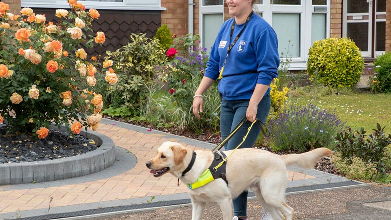 Irvine and Advanced Trainer Jade walking along the pavement together Irvine and Advanced Trainer Jade walking along the pavement together