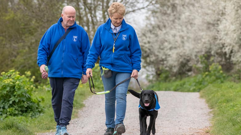 Milo in his puppy walking jacket walking alongside two smiling Guide Dogs trainers Milo in his puppy walking jacket walking alongside two smiling Guide Dogs trainers