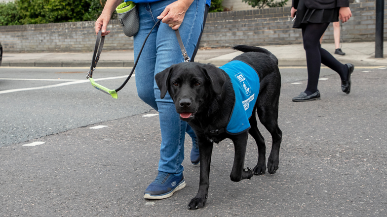 Milo in his blue training jacket Milo in his blue training jacket