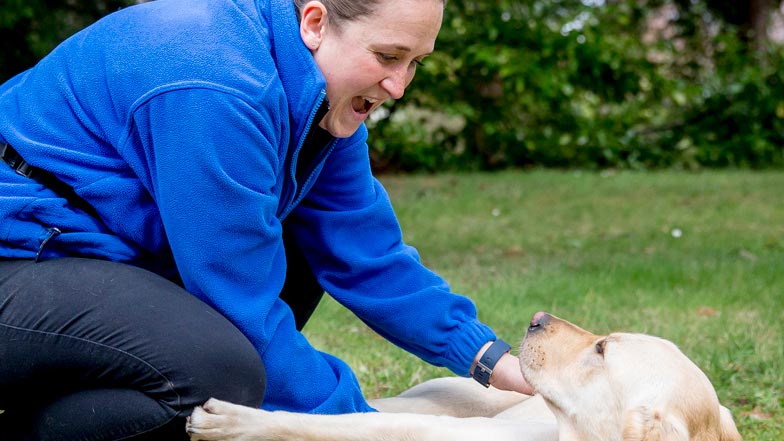 Poppy's trainer Kirsty giving her tummy scratches in the grass Poppy's trainer Kirsty giving her tummy scratches in the grass
