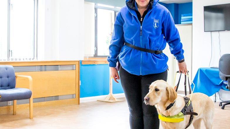 Poppy carrying out platform work with her trainer Kirsty Poppy carrying out platform work with her trainer Kirsty