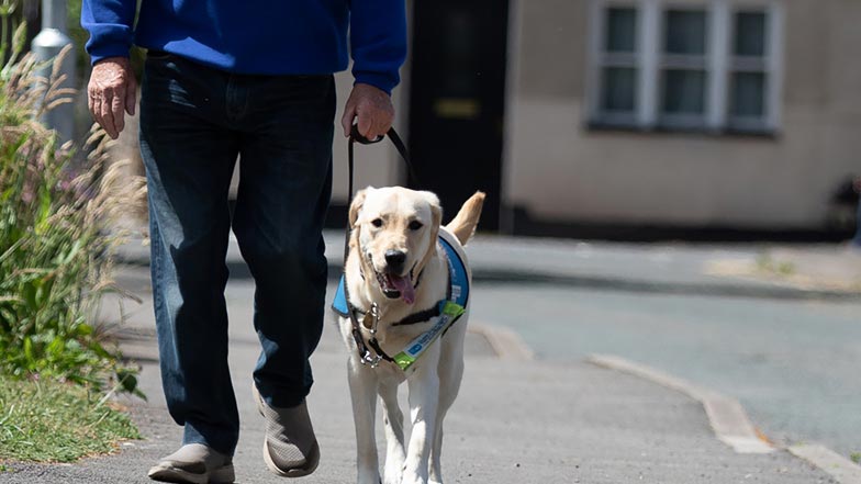 Poppy and Puppy Walker Keith walking down the street together Poppy and Puppy Walker Keith walking down the street together