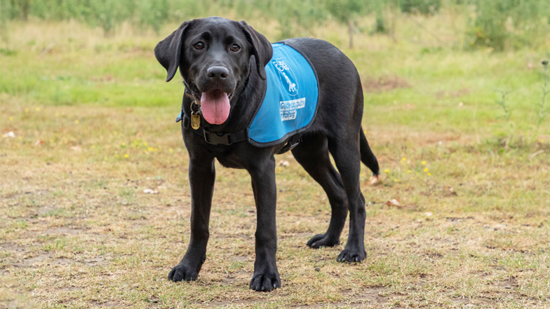 Skye in her blue training jacket Skye in her blue training jacket