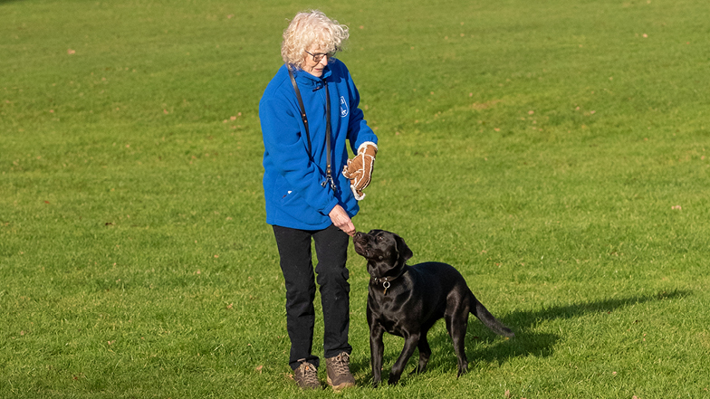 Skye training in a field with her Puppy Walker Skye training in a field with her Puppy Walker