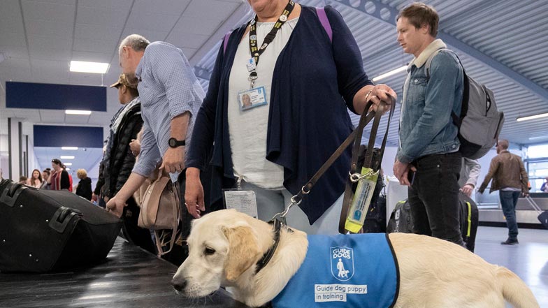 Jacki and Spirit collecting luggage