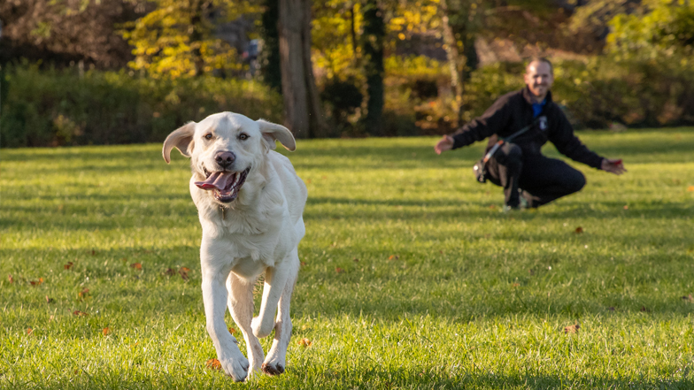 Spirit running in the park