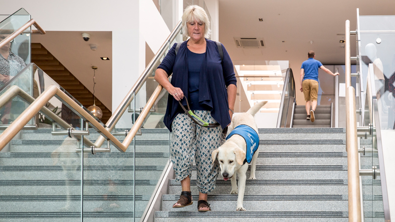 Spirit and Jill walking down the stairs