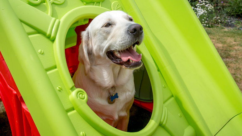 Spirit sitting in his playhouse