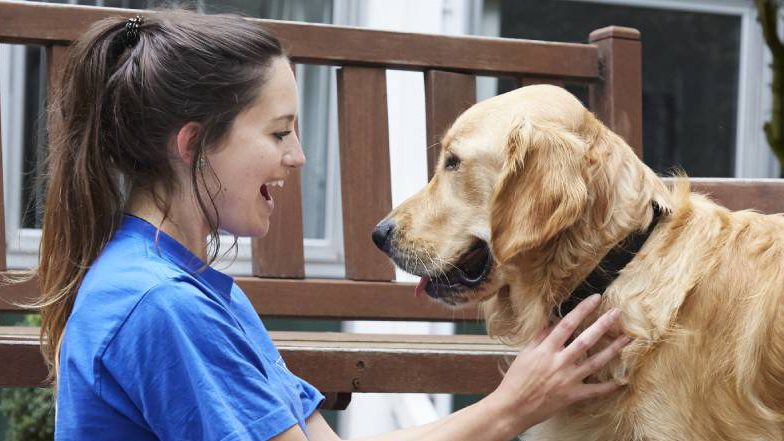 How To Take Care Of Guide Dogs - Windy City Pet Expo