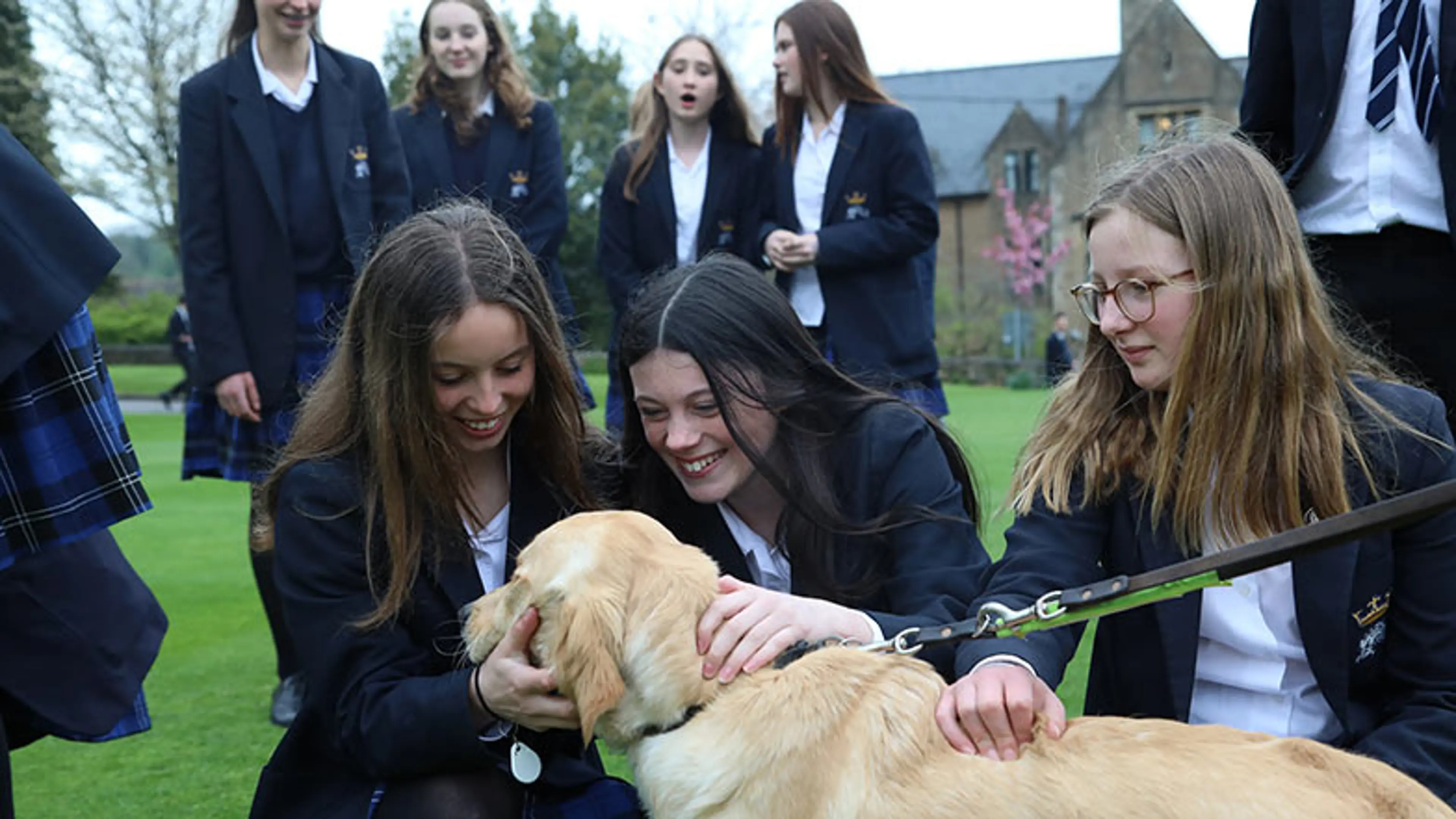 School students crowd around a yellow Labrador Guide Dogs puppy.
