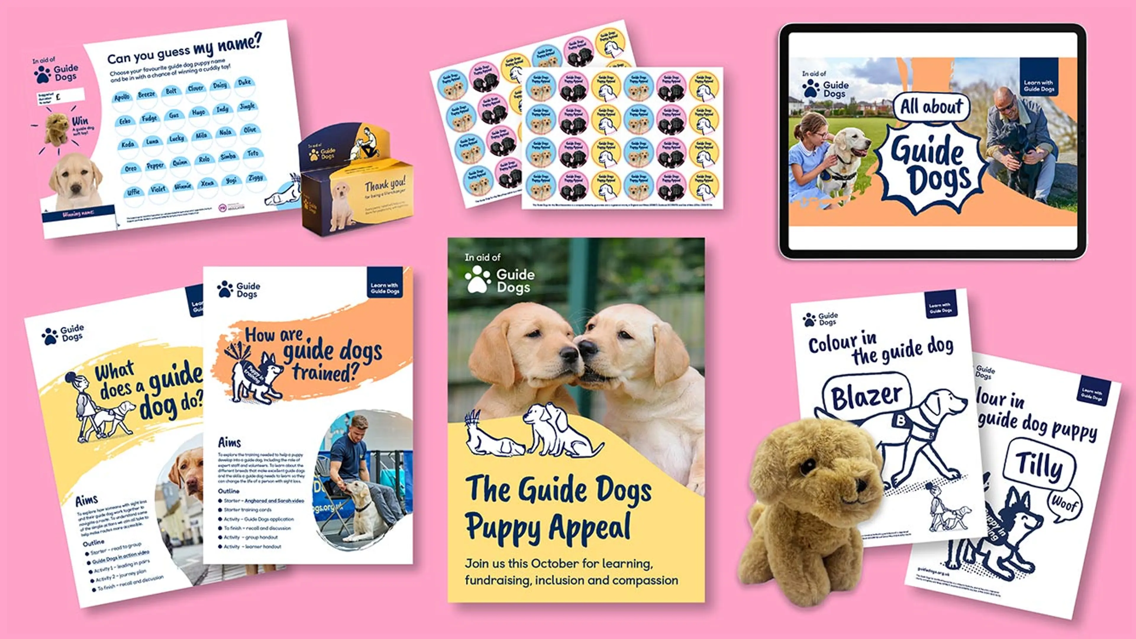 A collage of the resources in the Guide Dogs Puppy Appeal pack for schools and youth groups