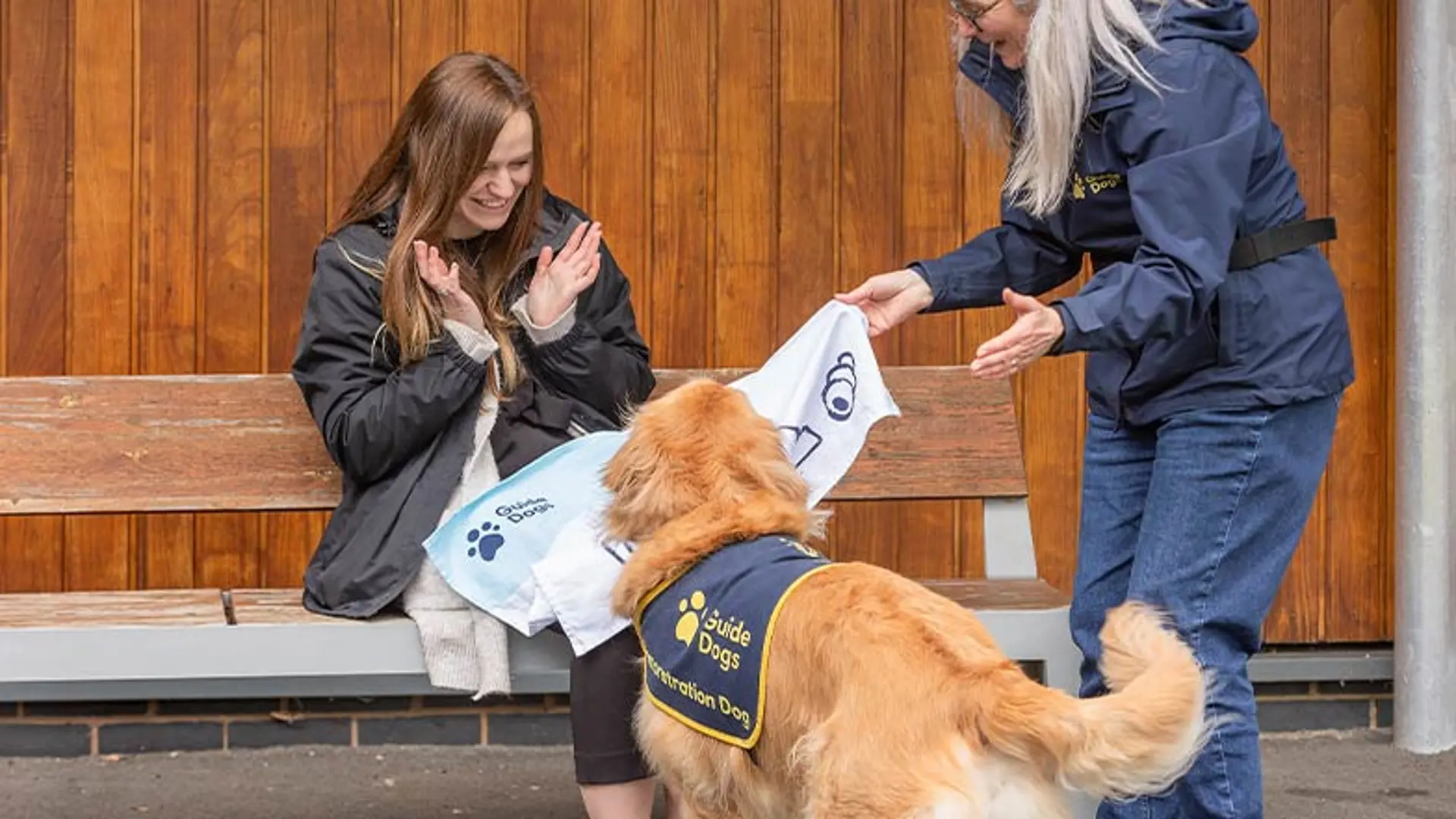 A demonstration dog performs a chin rest on a woman's lap as a trainer watches.