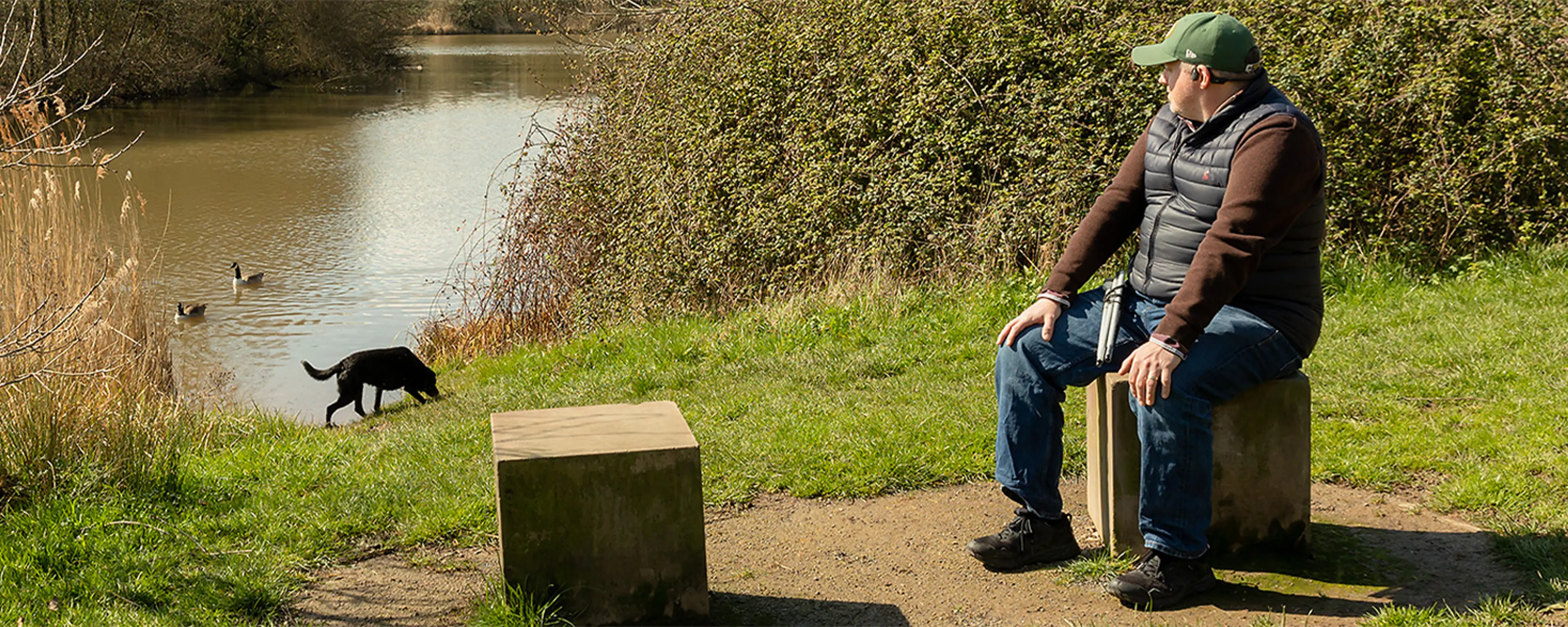 Image of a man sitting on a bench in a park