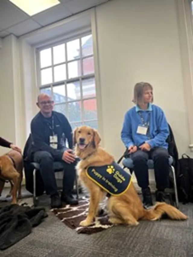 Golden retriever cross, Milo, sat wearing a ‘puppy in training’ jacket looking at the camera with his puppy raisers Stephen and Gillian sat on chairs behind him