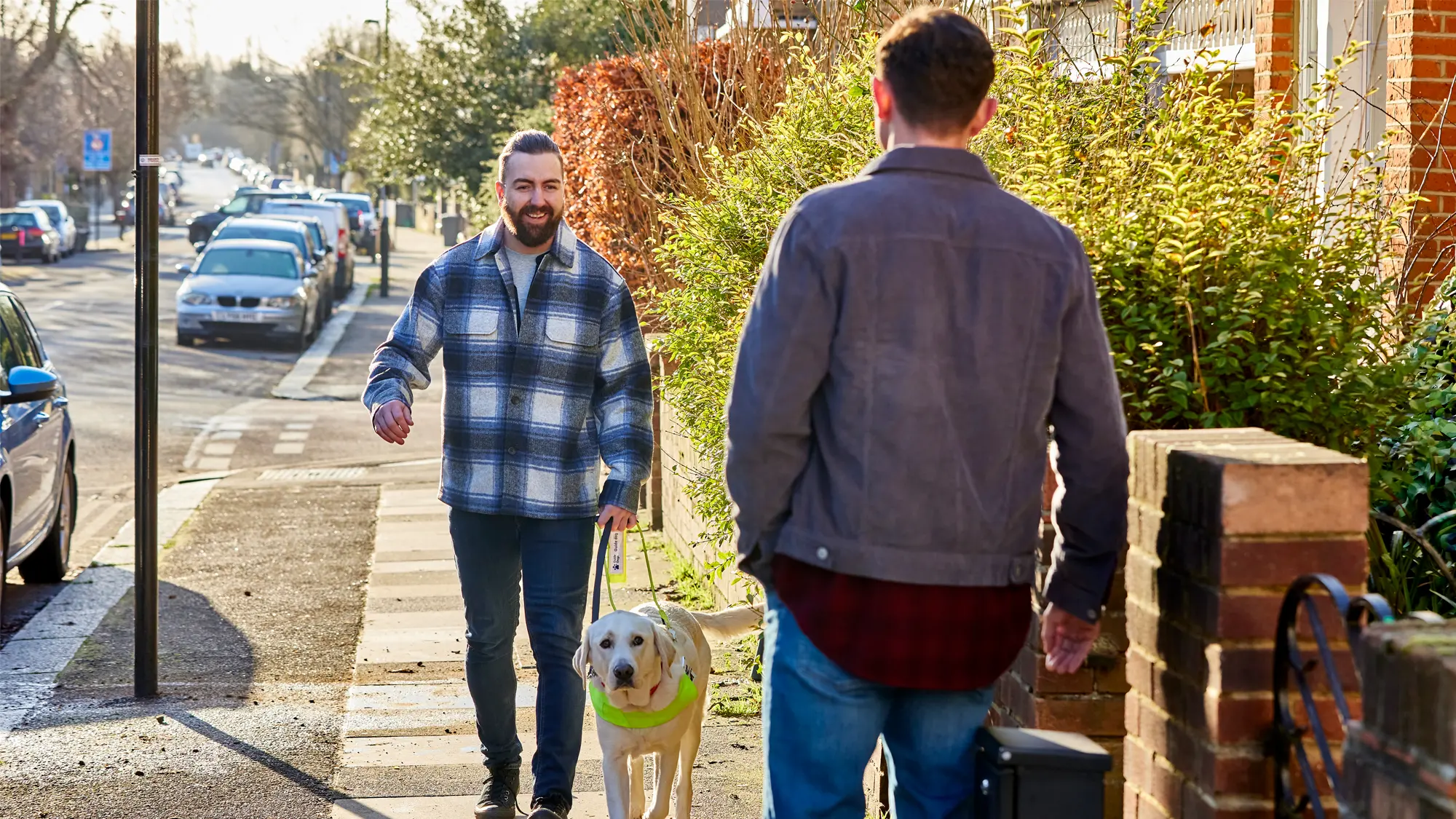 Guide dog owner Josh walks down the street with his guide dog Ringo, about to meet his brother. 