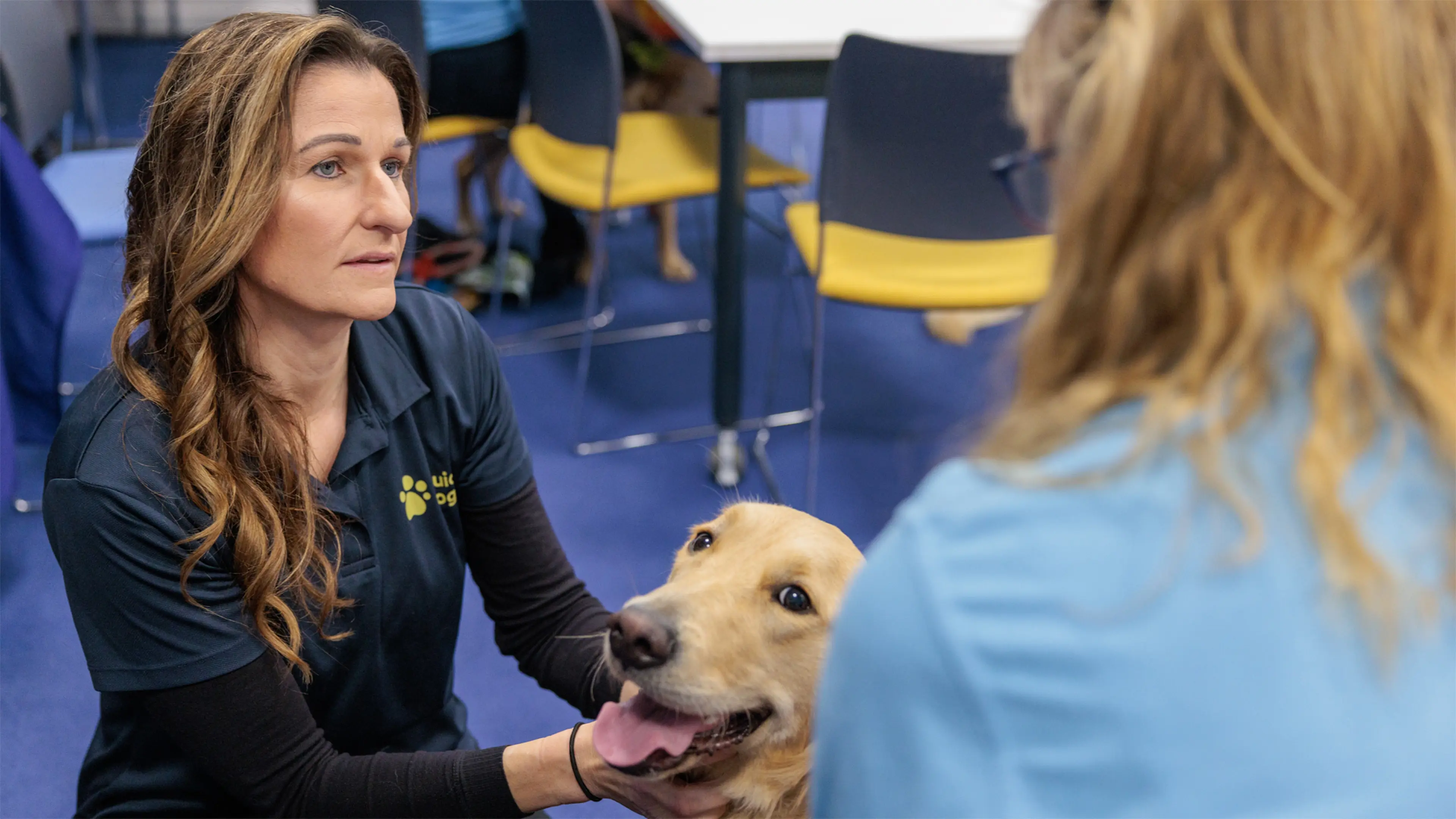 A Puppy Development Advisor crouches next to a golden retriever puppy, as she talks to a Guide Dogs volunteer Puppy Raiser. 