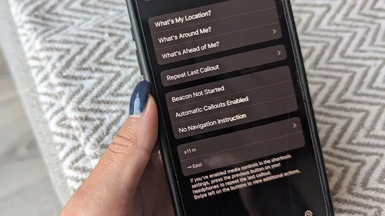 Image of the voice vista app on iPhone