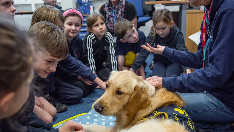 Children and staff gather round a golden retriever puppy in training who is lying on the floor in a classroom while a Guide Dogs volunteer talks to the group.