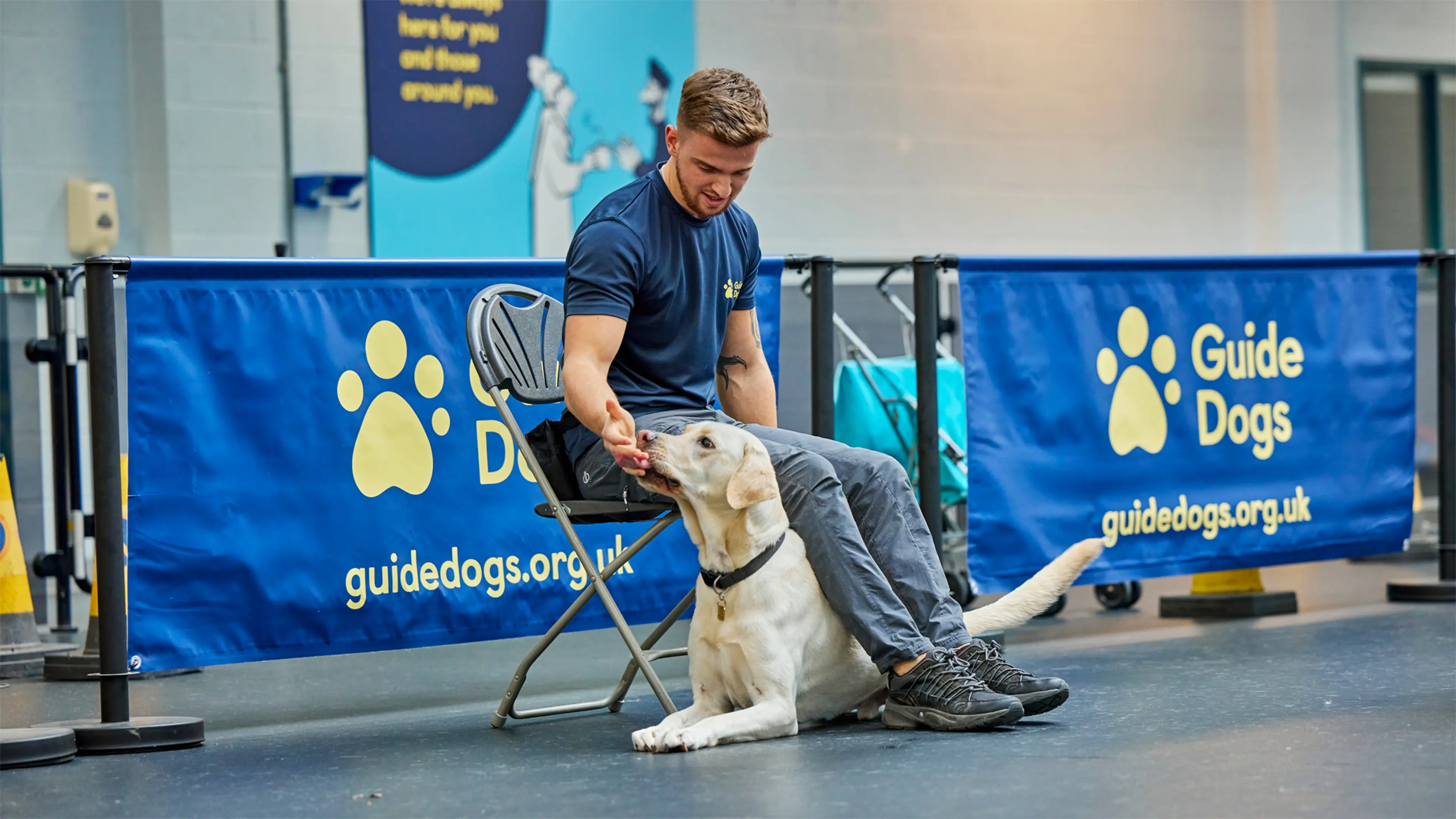 A Guide Dog Trainer sits on a chair practising one of our key behaviours with a guide dog in training, who lies underneath his legs.