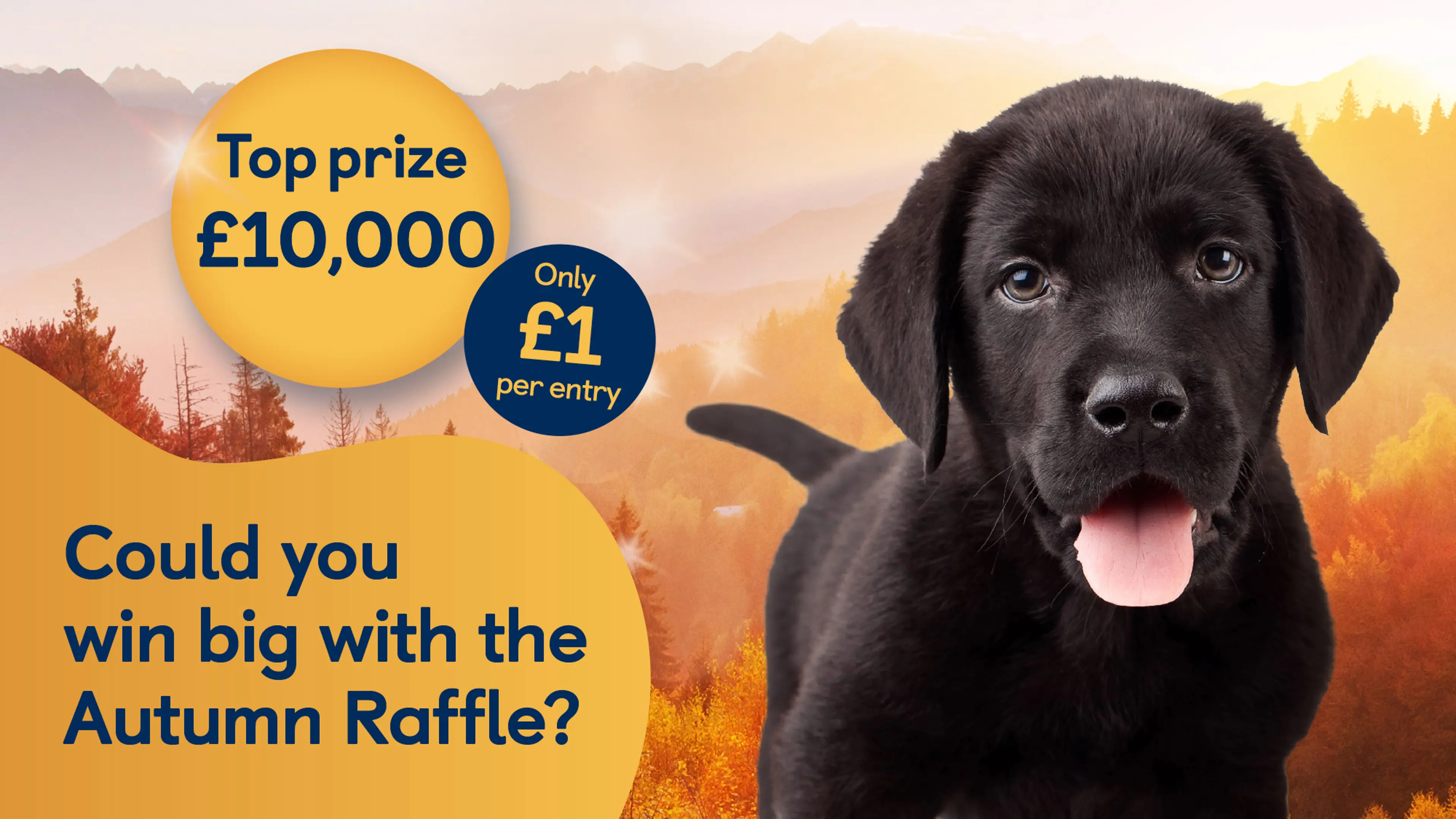 Black Labrador with tongue out looking to camera next to prize bubbles displaying 'Only £1 per entry' and 'Top Prize £10,000'.