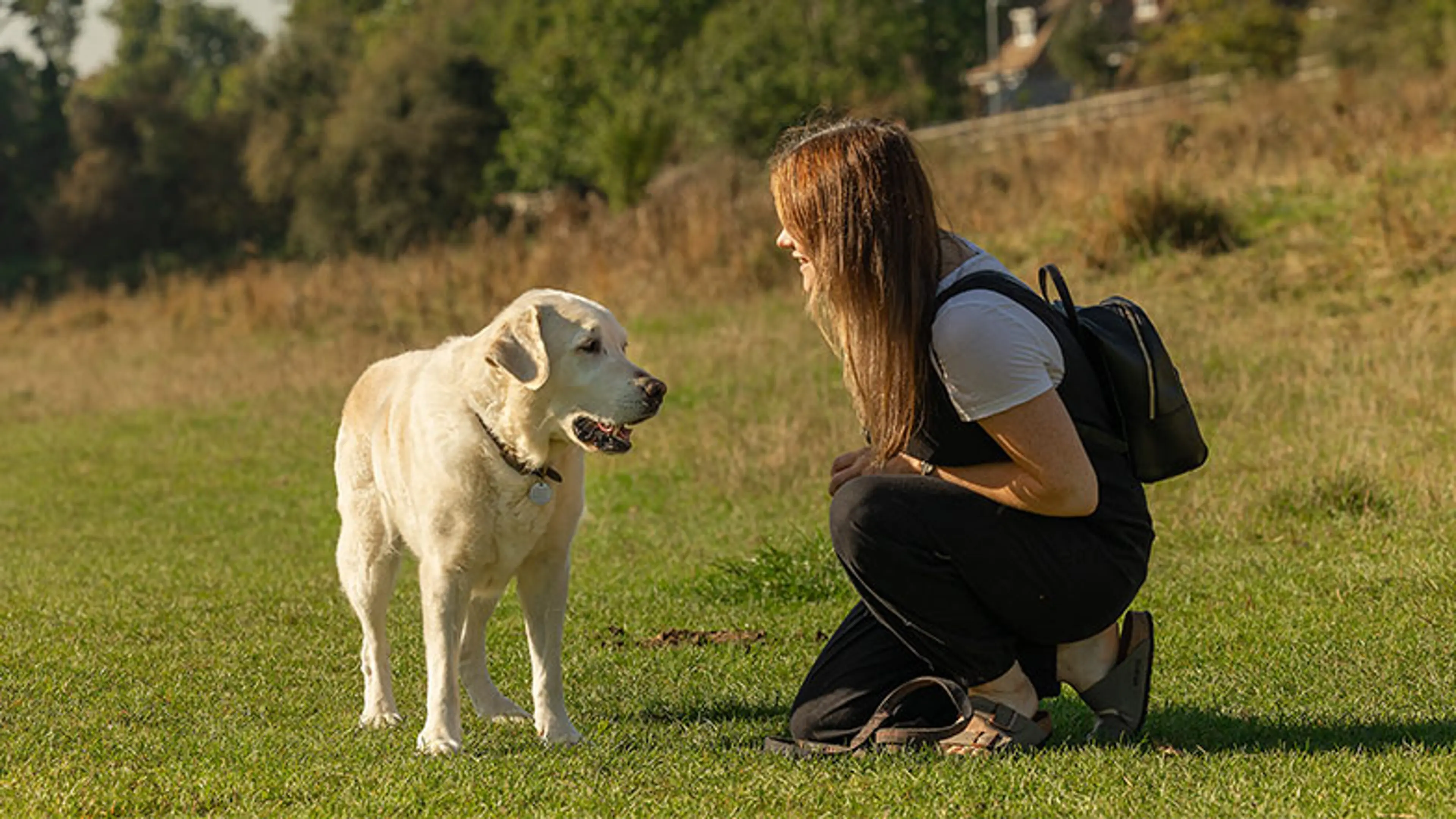 A retired guide dog with its new owner in the park