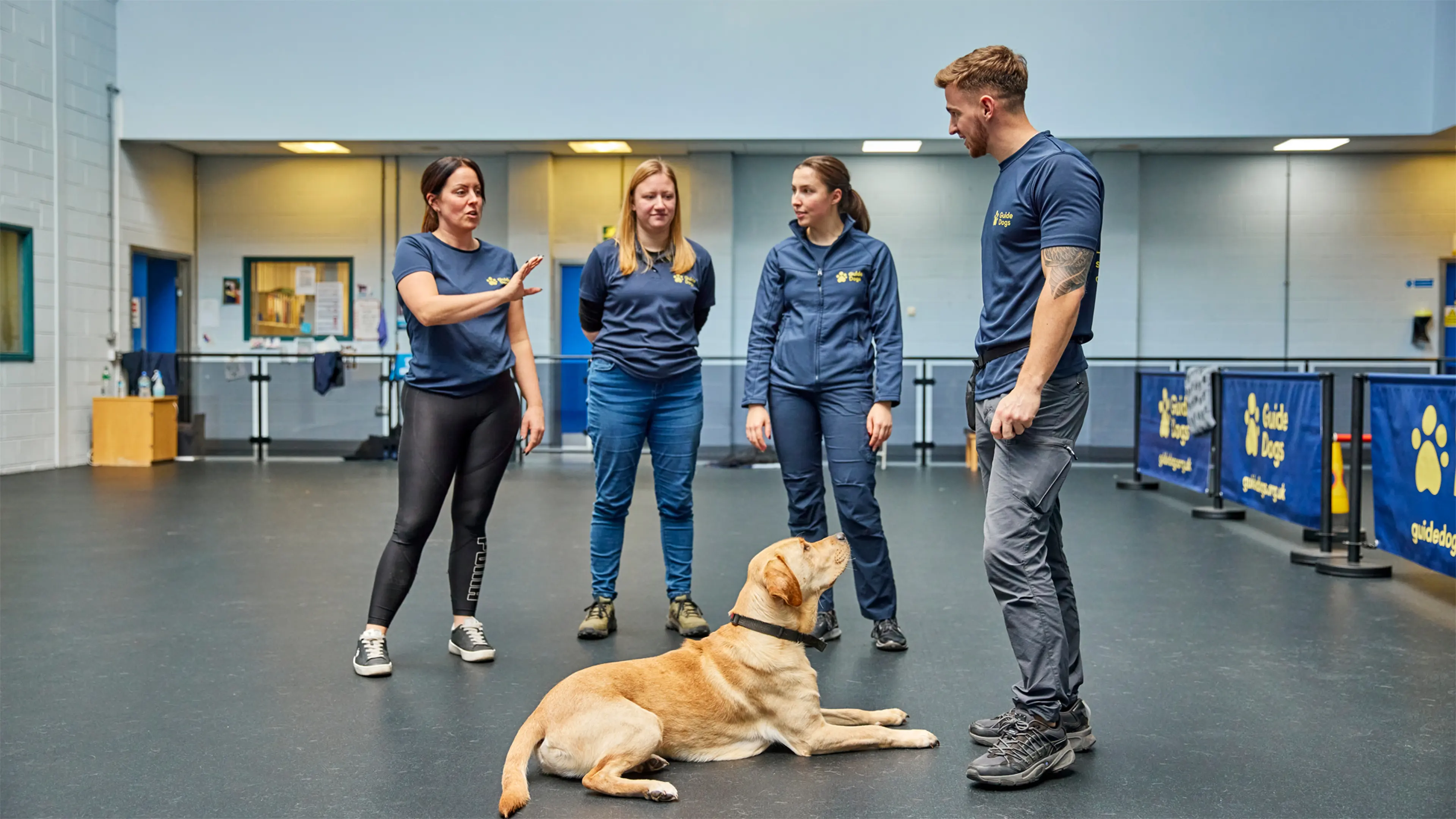 Four Guide Dog Trainers from the Guide Dogs Academy stand talking inside a Guide Dogs training centre. A guide dog in training lies in front of them.