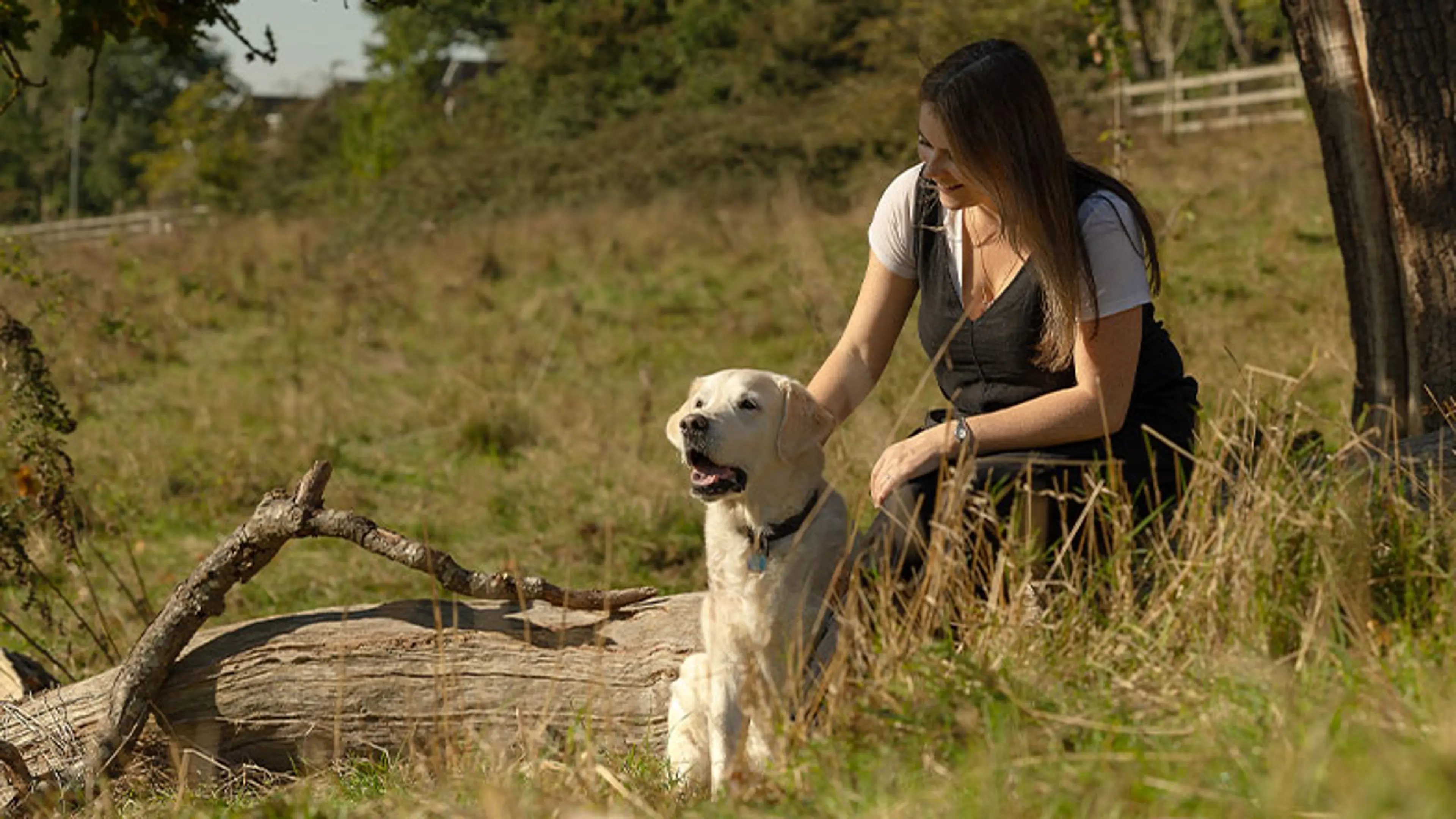A retired guide dog with his new owner in the woods.