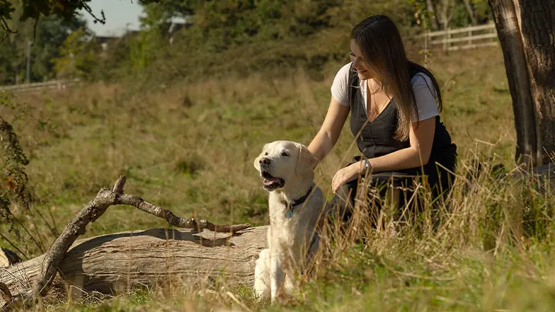 A retired guide dog with his new owner in the woods.
