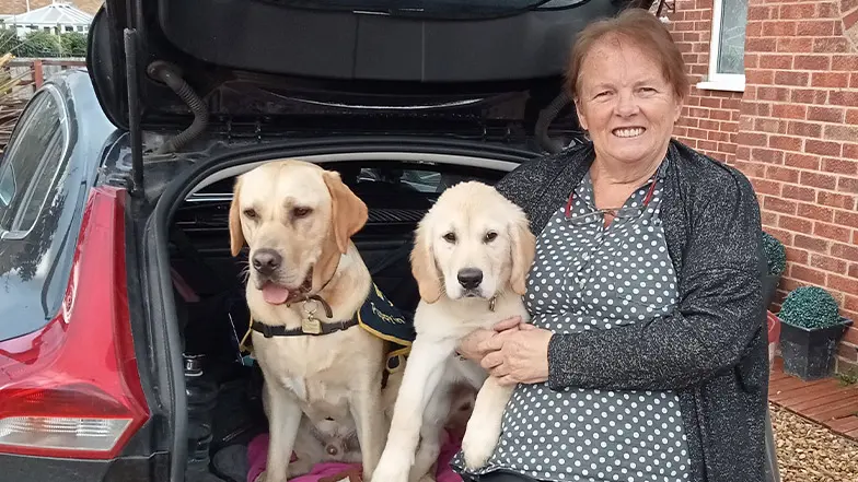 A volunteer puppy raiser smiles as she sits next to two dogs.