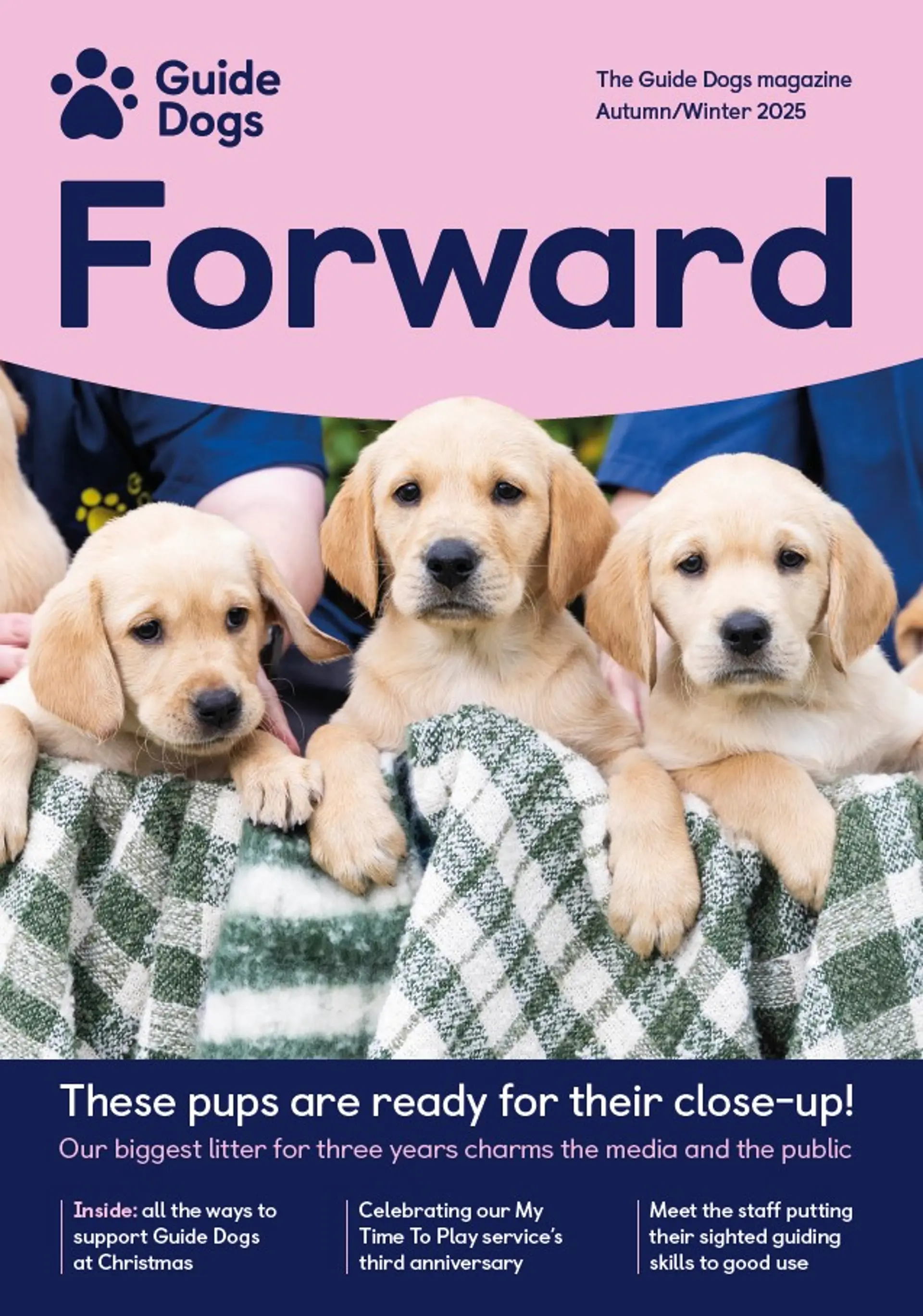 On the front cover is a trio of golden retriever puppies with the caption "These pups are ready for their close-up!"