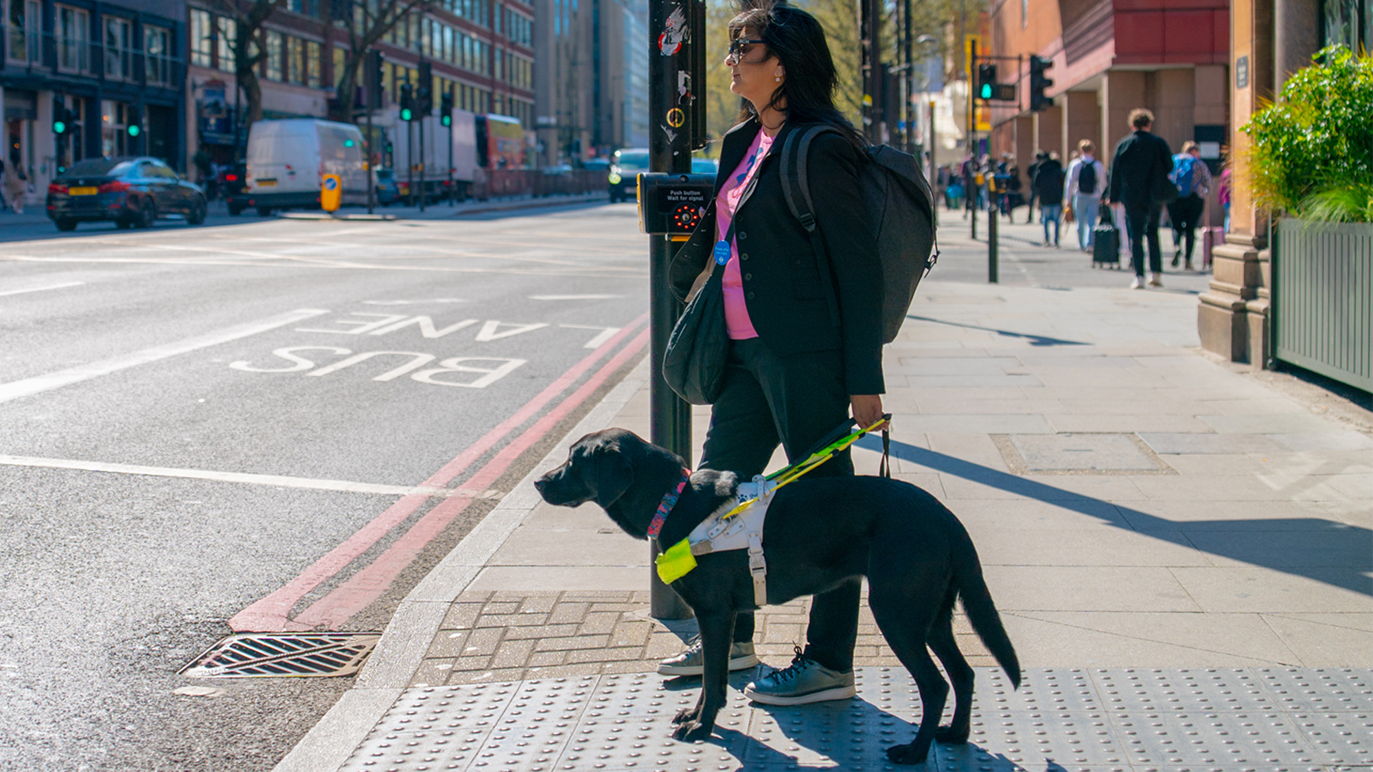Guide Dog Ride Guide Dogs’ Streets Ahead | Inclusive Outdoor Spaces