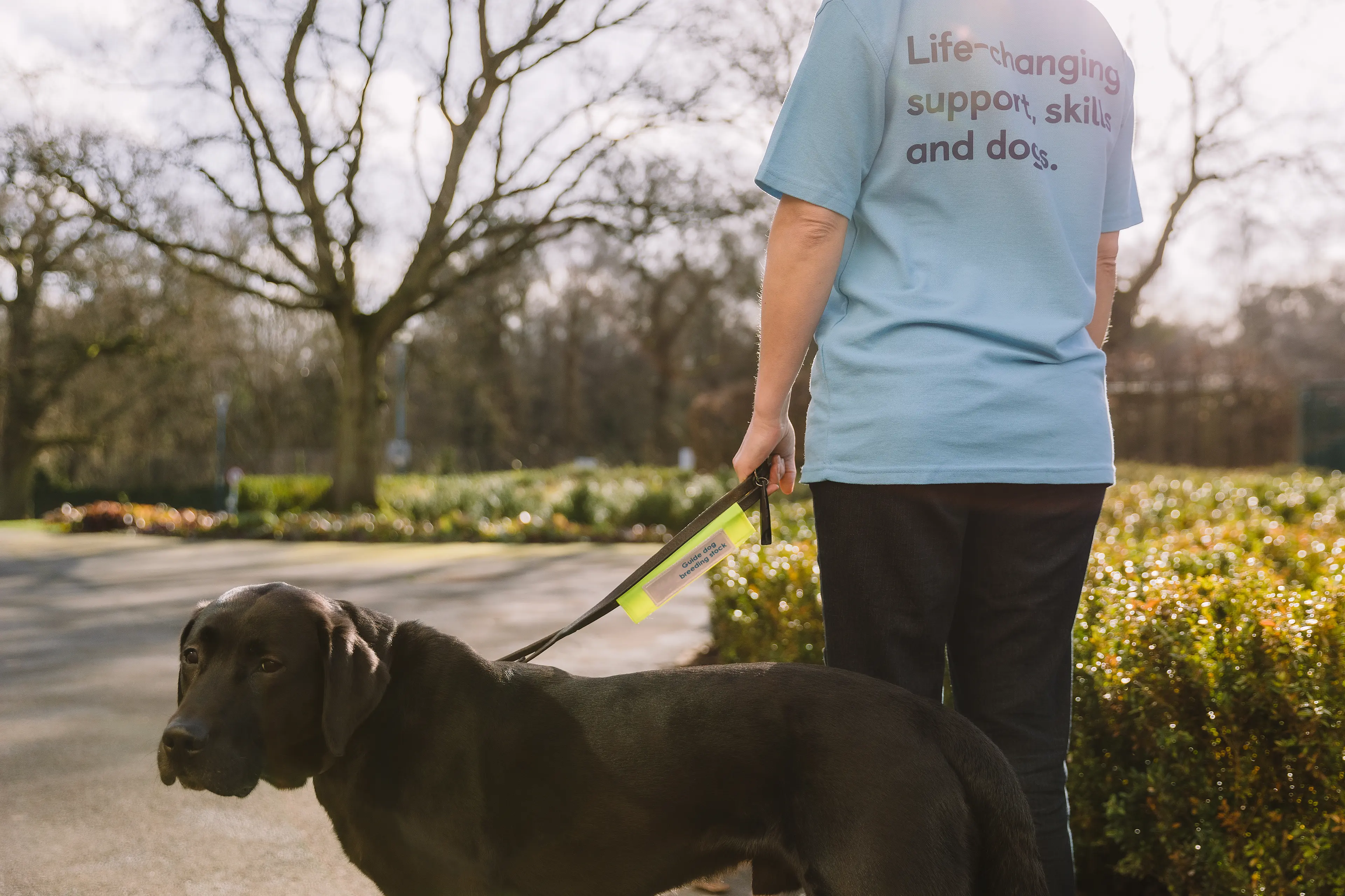 A person stands with a black labrador wearing a t-shirt which says, "life-changing support, skills, and dogs"
