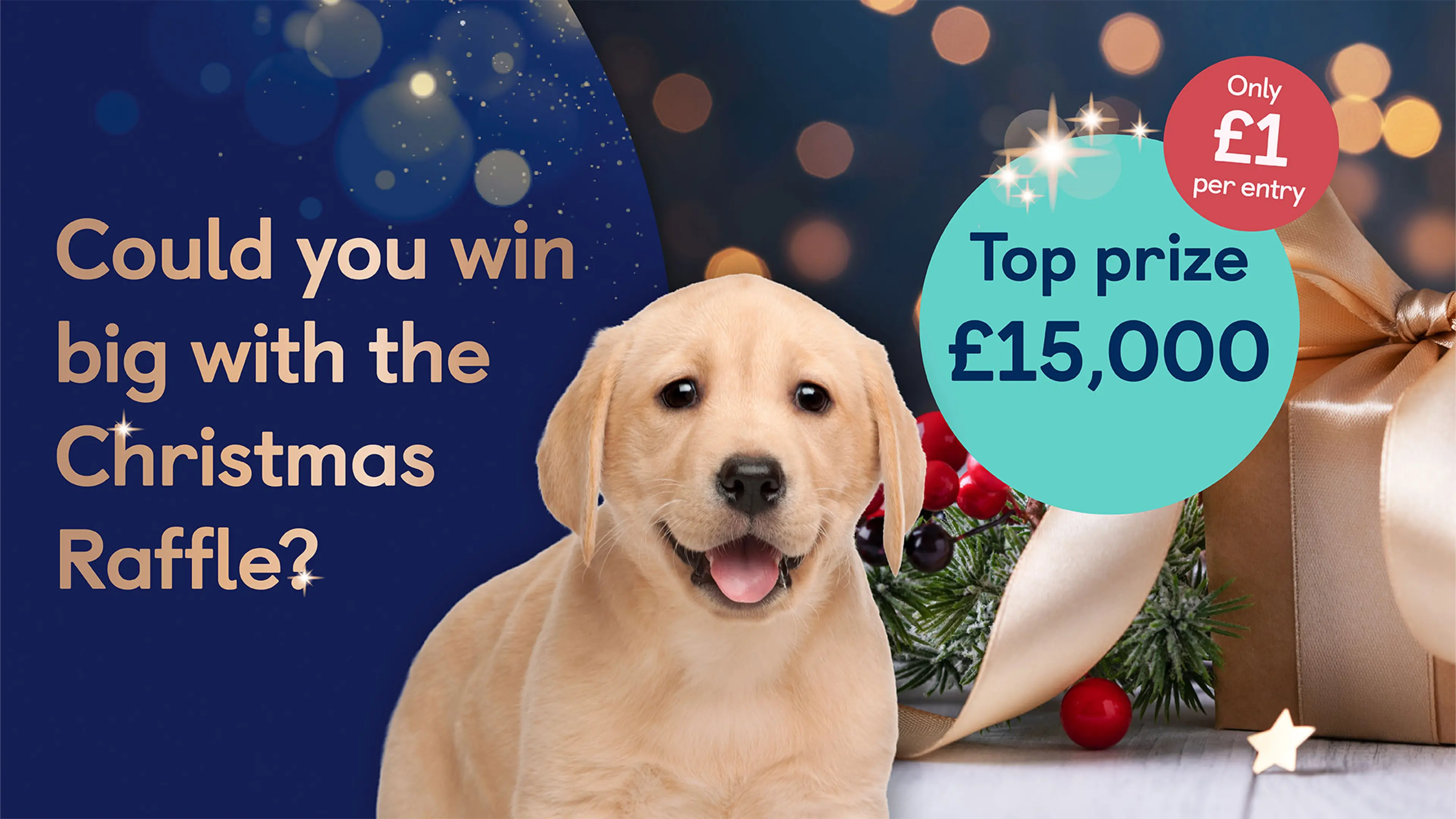 Labrador pup looking to camera in front of a Christmas background. Top prize bubble of £15,000 sits next to the text 'Only £1 per entry'.