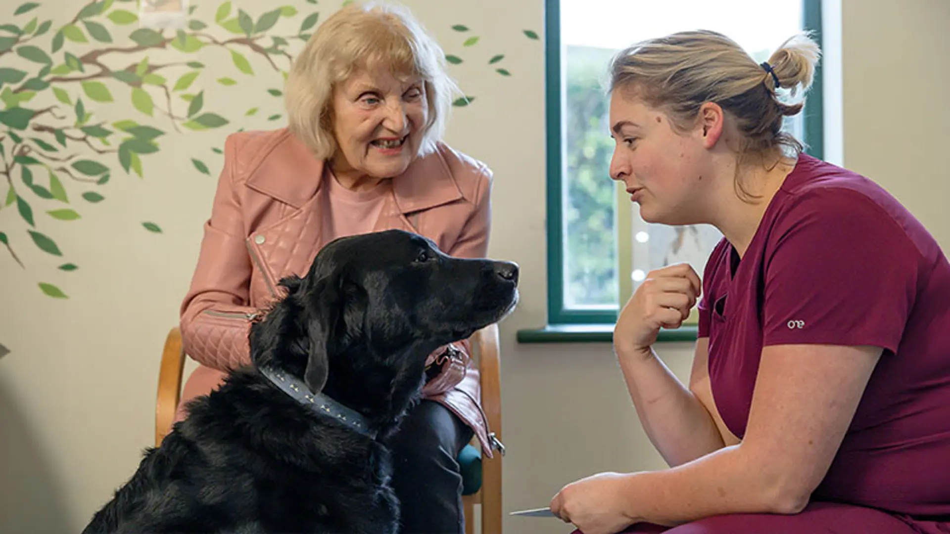 Guide dog owner Danni with a Guide Dogs member of staff who has a treat in her hand. Joker is looking intently at her.